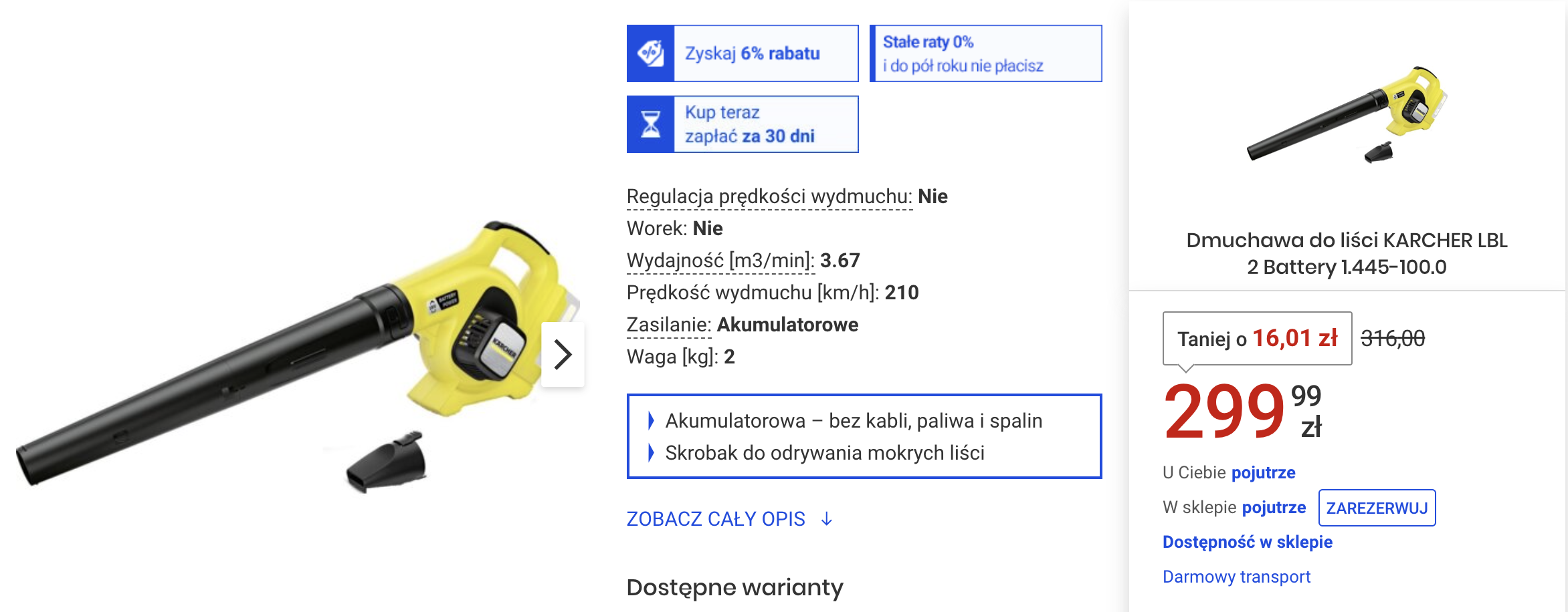 dmuchawa-do-lisci-karcher